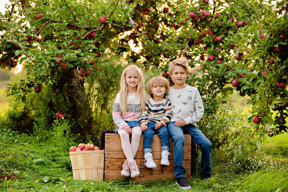 two brothers and a sister sitting on an apple crate in an apple orchard for their family photos Burlington, Ontario