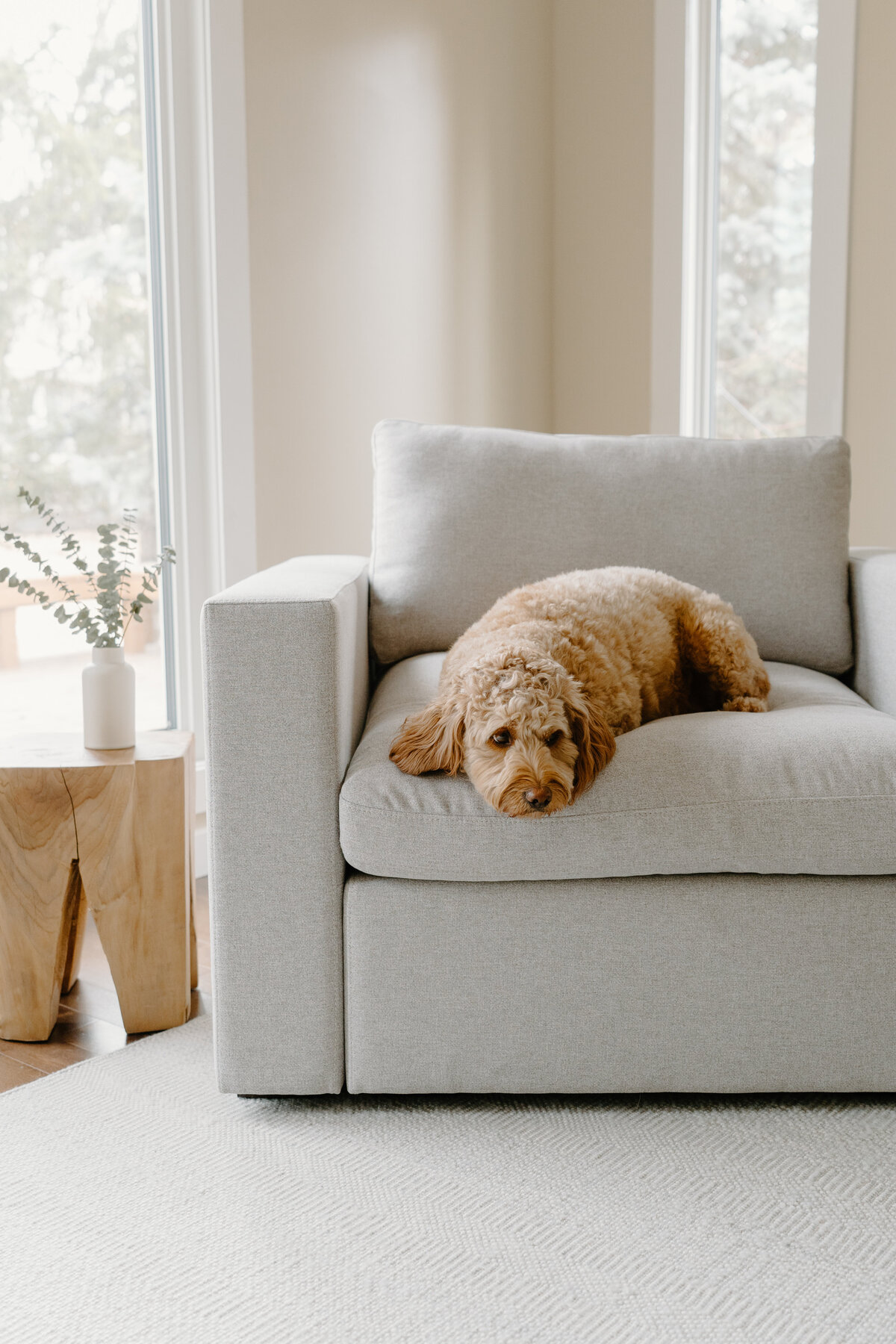 Cozey-BrandPhotography-BrookeMosPhotography-07617