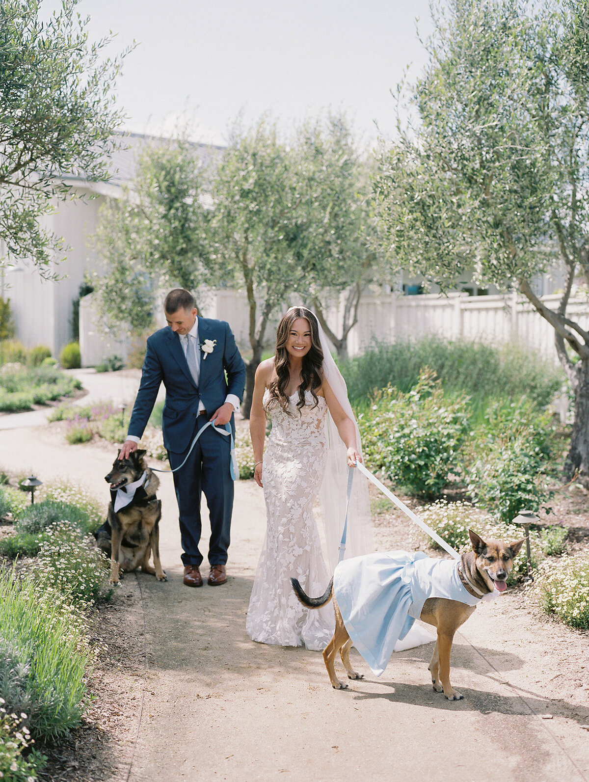 Luxury-Wedding-The-Barn-at-Harrow-Cellars-Sonoma-CA83