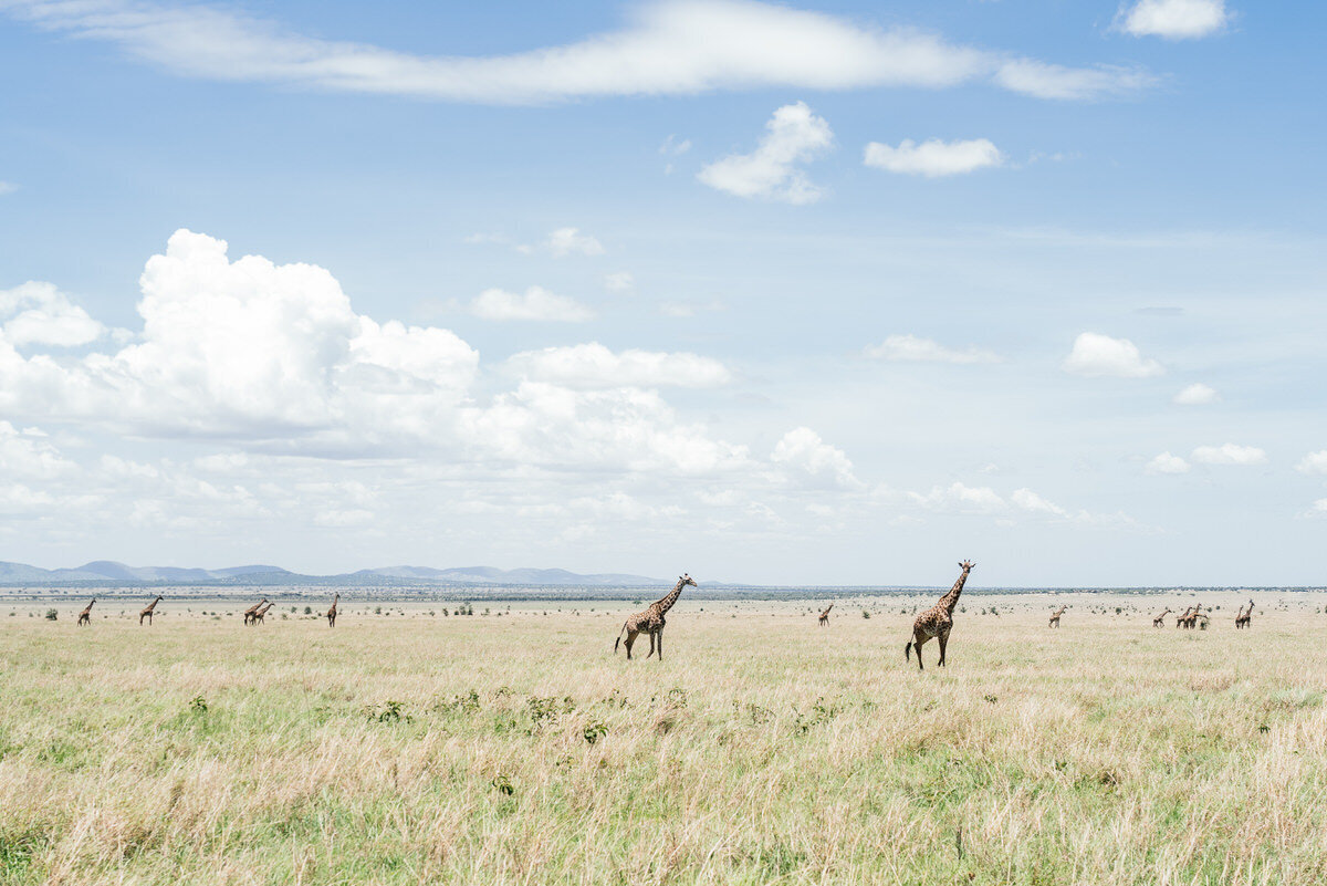 leila-brewster-photography-tanzania-0577