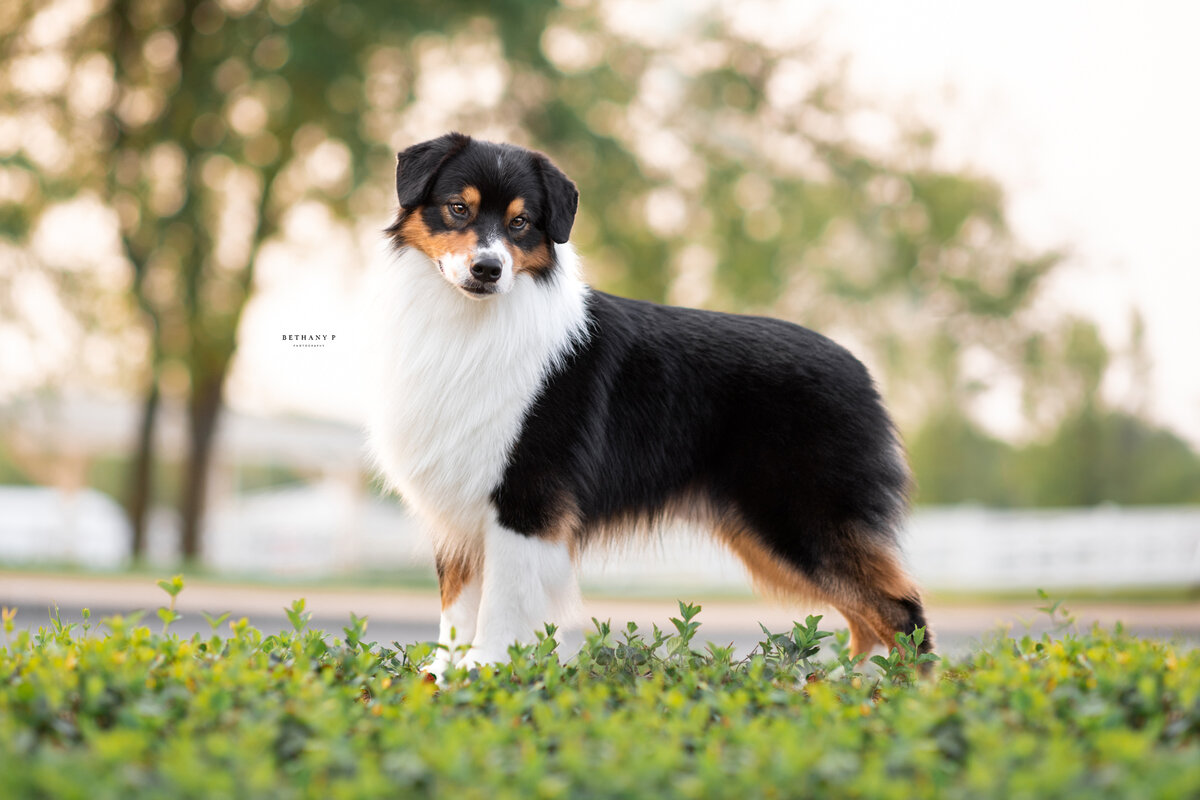 230518_USASA_Shine_WEB-1