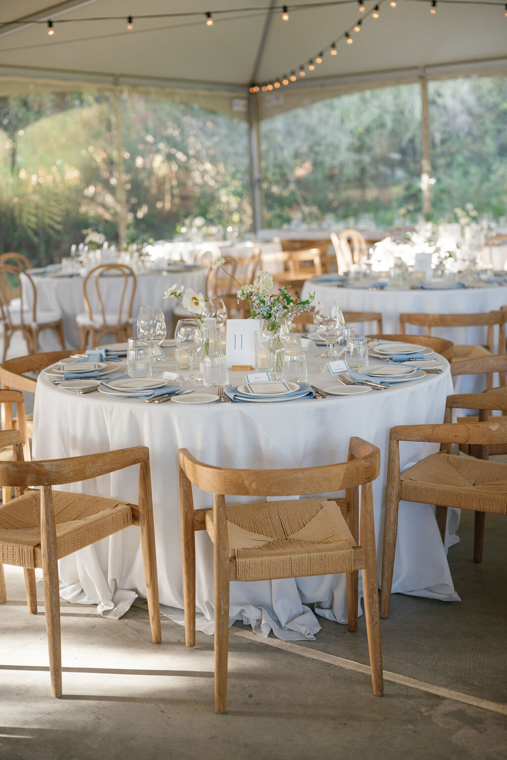 Trinity-Will-Previews-28