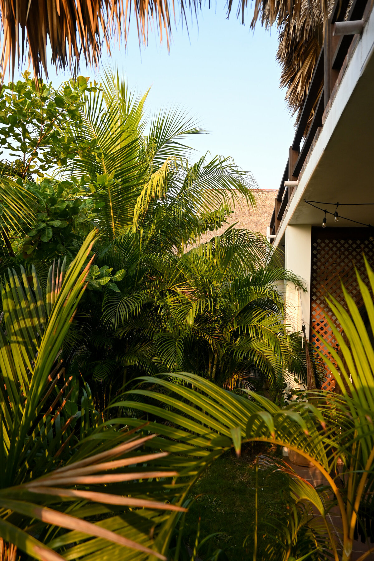 Journeybird Studio-Casa Zala--13