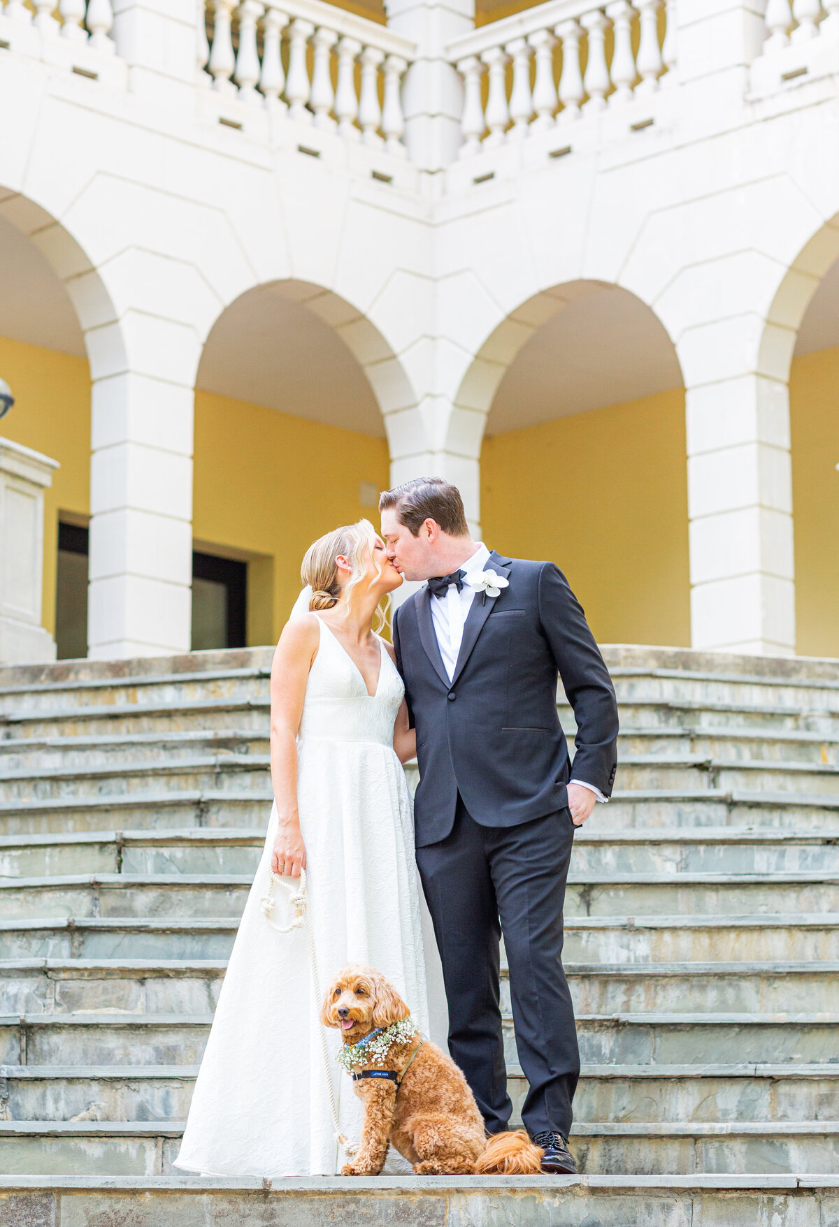 bride and groom with dog