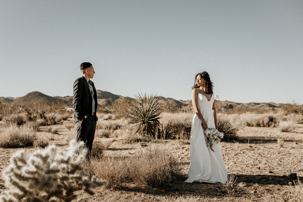 mkphotography_joshuatreeelopement_web-70