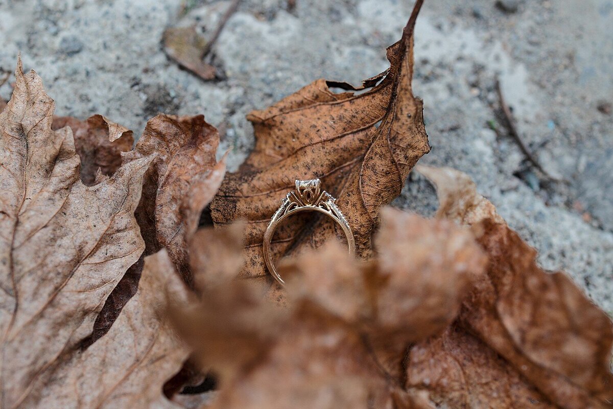 Engagement ring resting on dried leaves