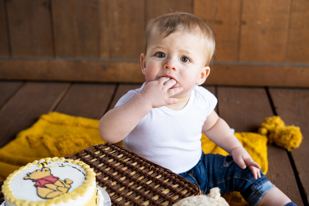 first birthday cake smash northeast Ohio