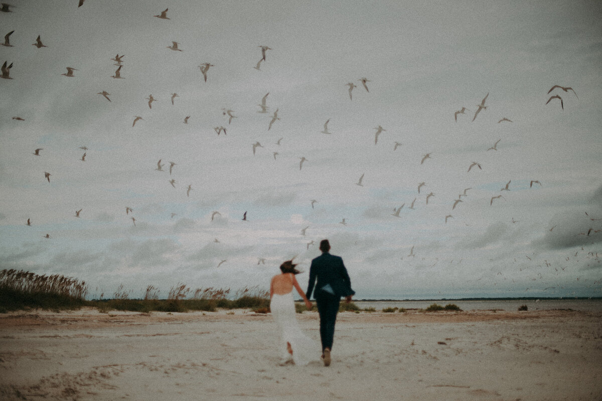 Bride and groom on the beach holding hands while hundreds of seagulls fly above them