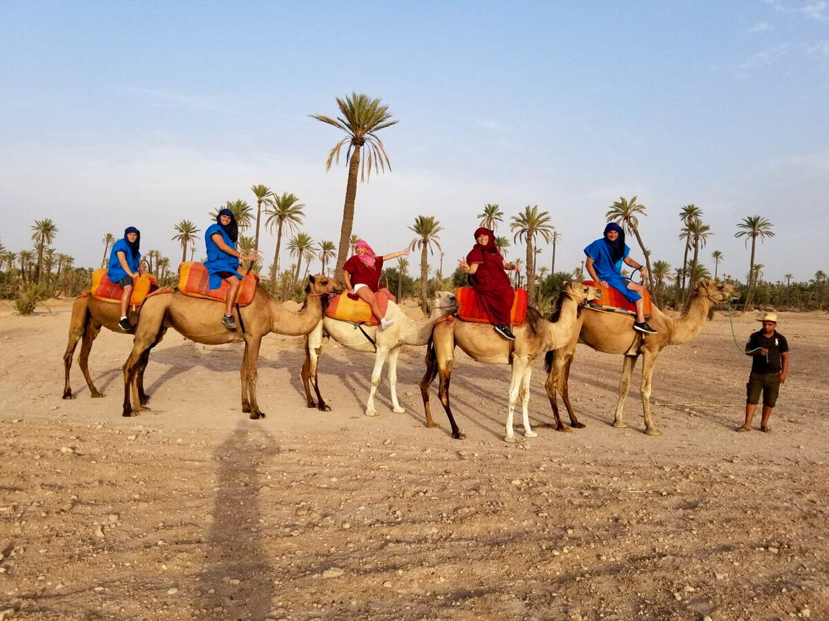 travel planning services fpr the Sahara