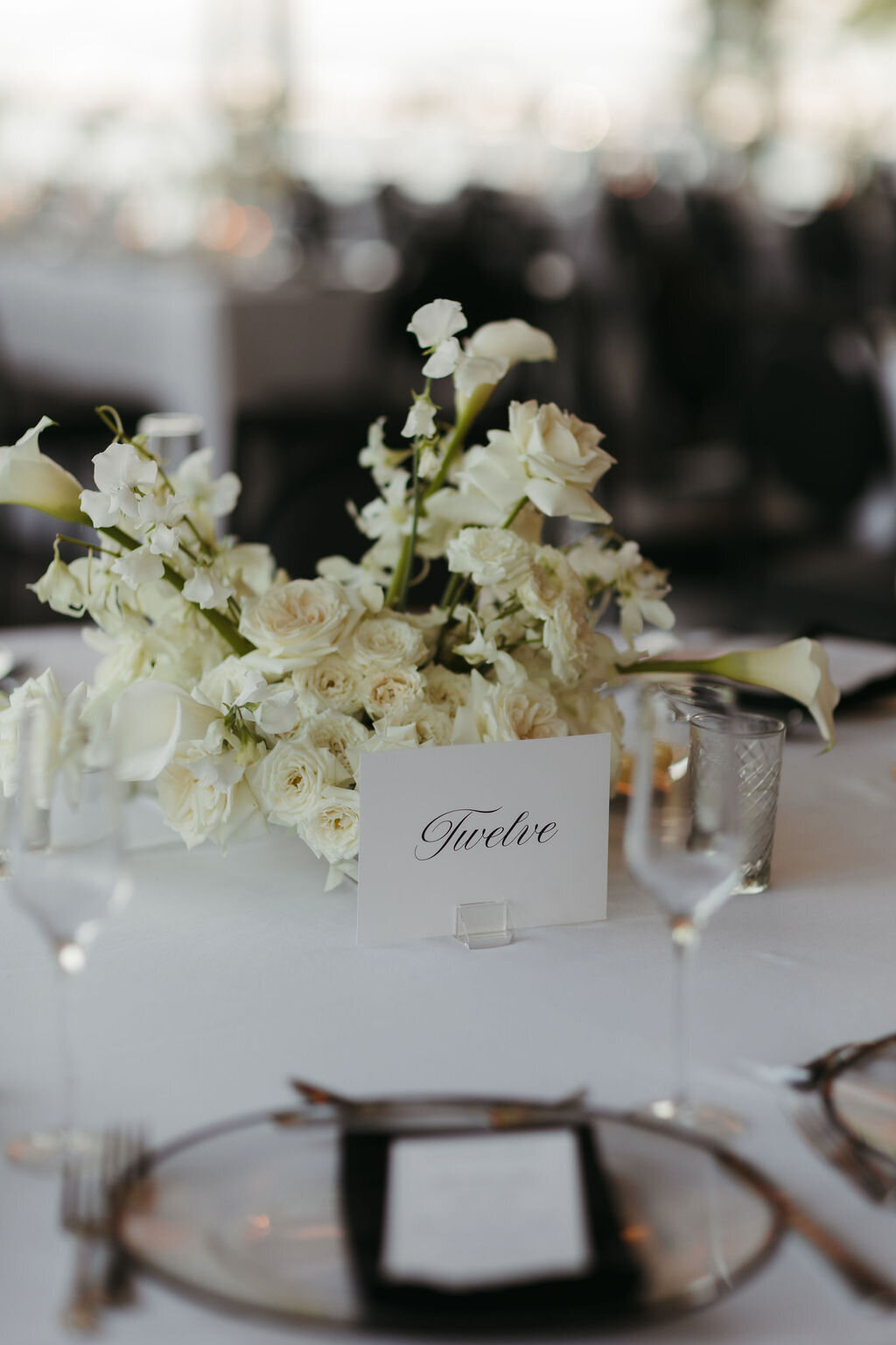 GillianandDavidWeddingFinals(702of1453)