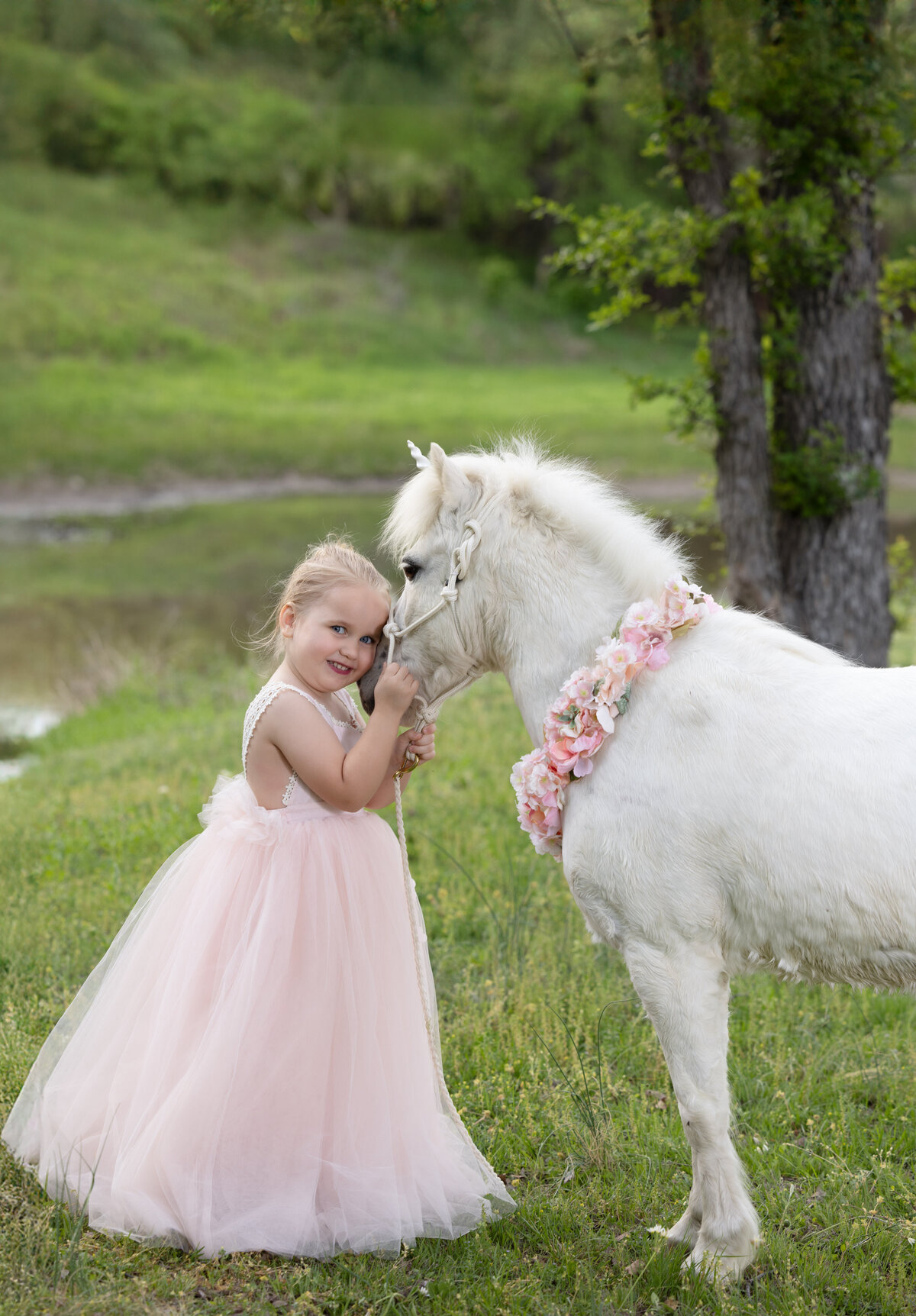 dallas-and-fort-worth-unicorn-portrait-049