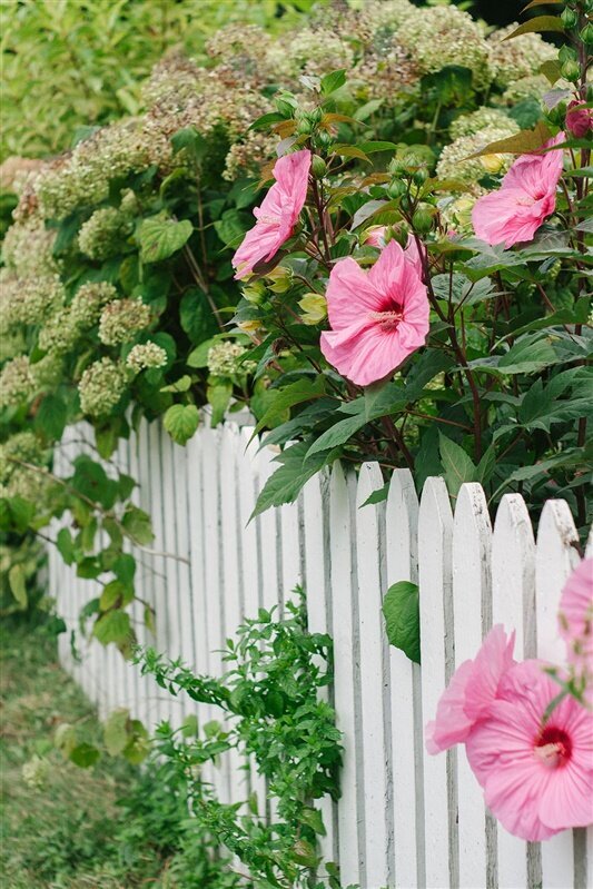 Judy-Mike-Elopement-Mast-Farm-Inn- (5)