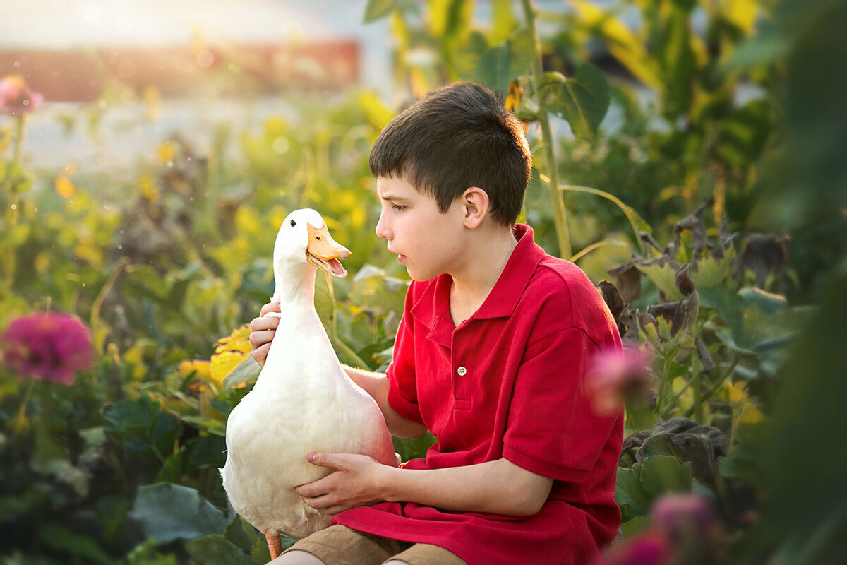 2-talk-connection-4h-duck-peking-hobby-farm-ranch-brighton-boulder-louisville-love-animals-cute-boy