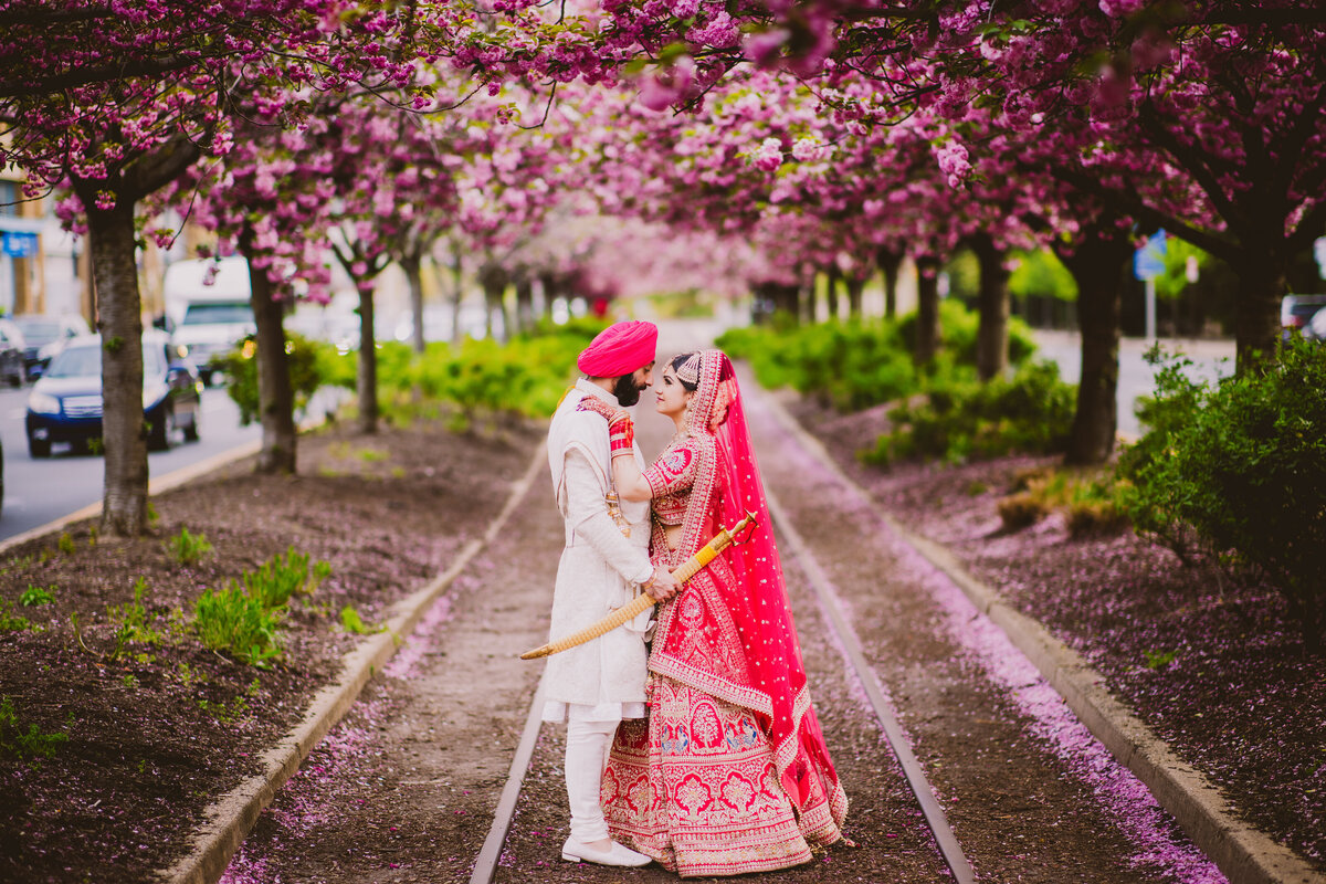 Sikh bride and groom after their wedding standing under the cherry blossom trees in Philadelphia