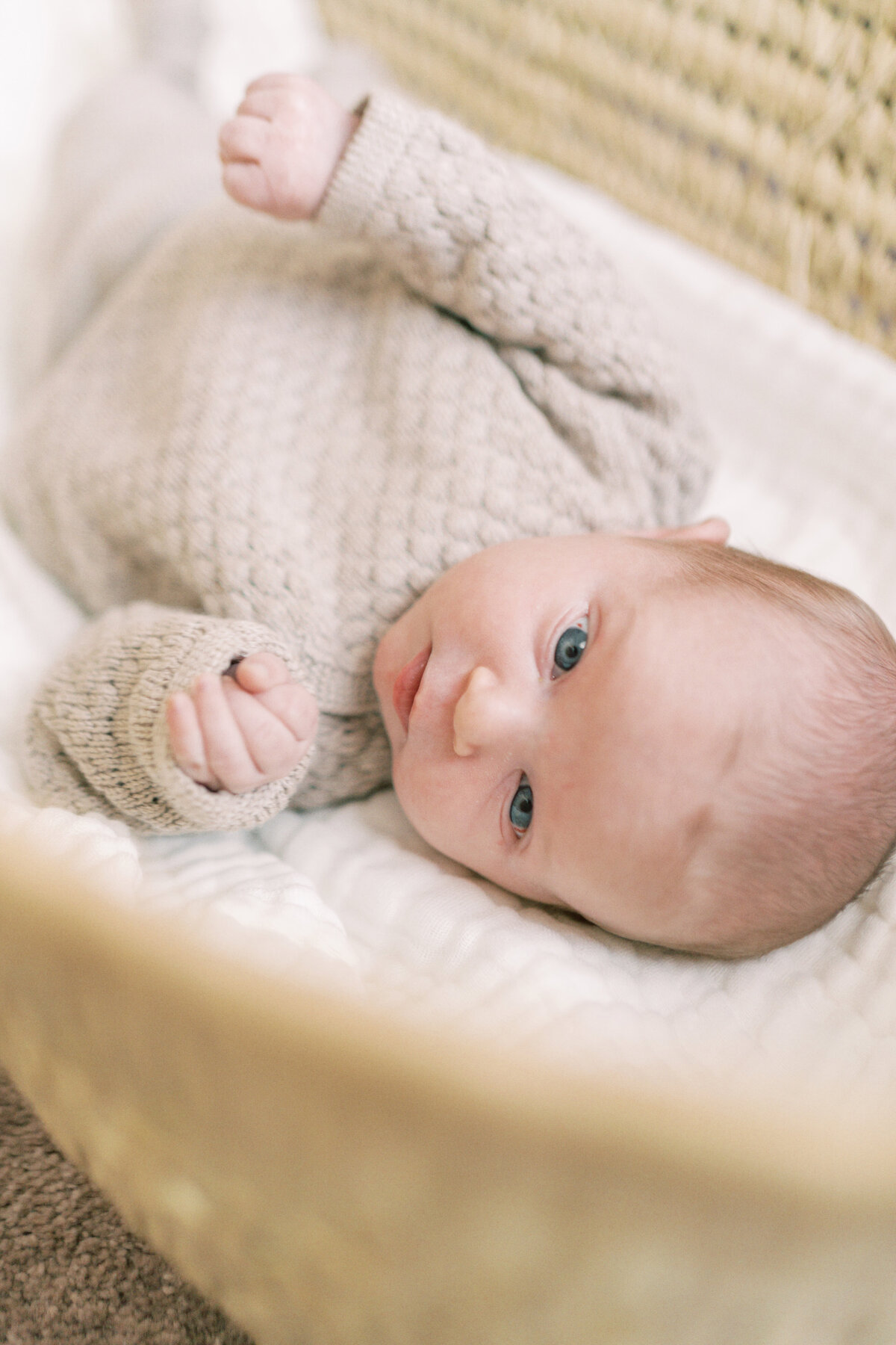 baby laying in moses basket by Oklahoma City Photographer Courtney Cronin