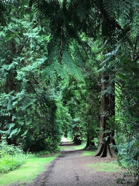 Travel_Scotland_Glamis_castle_park