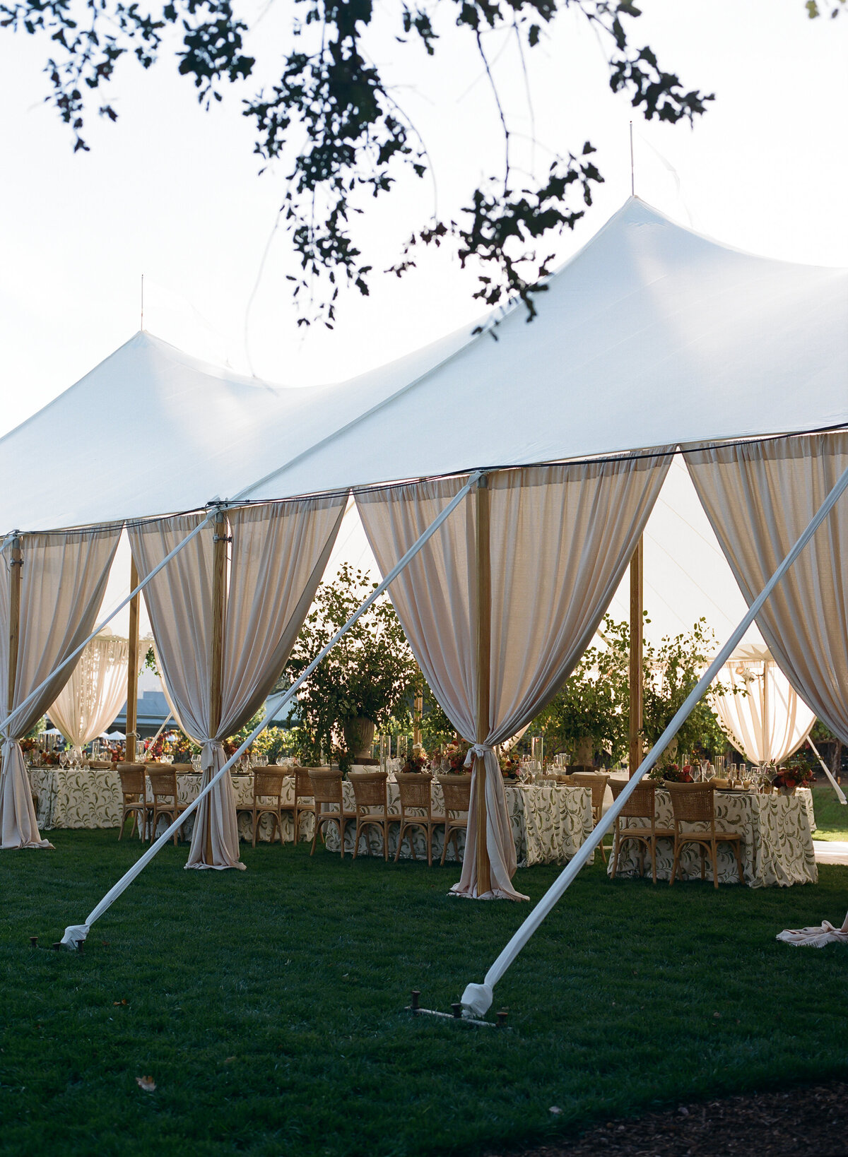 DT-2025-Celine & Gabe Highlights-252