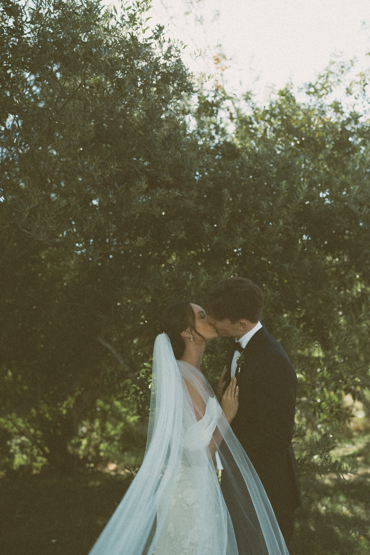Intimate Wine Country Wedding in Sonoma, California