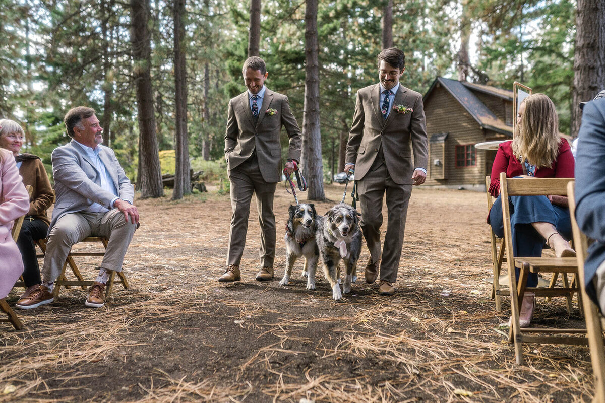 Two men walking outdoors at a wedding each with a dog on a leash.