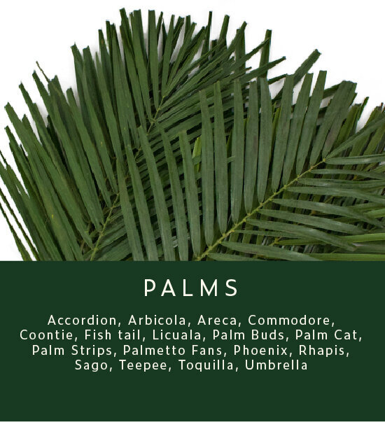 Greenery-Palms