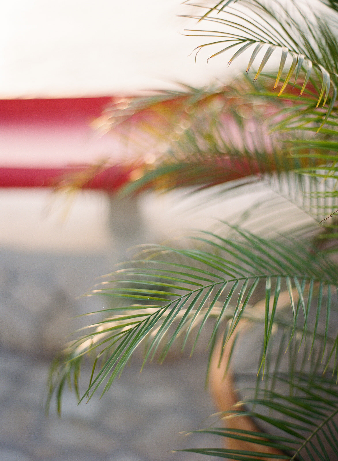 Ocean-Cliff-Hotel-Negril-Jamaica-Wedding-Nia-Shomari-by-Kiyah-C-Photography-156