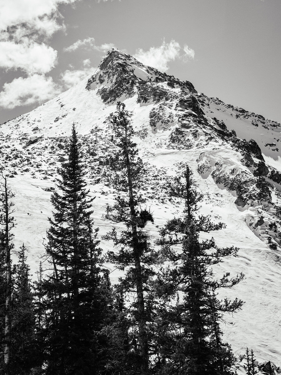 leila-brewster-photography-crested-butte-0468