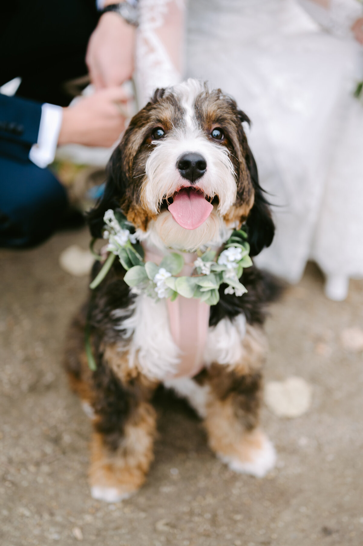 EmilyWrenPhotography-Associate-Gabby-077