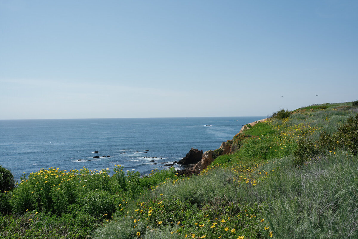 Terranea_Resort_Weddings_by_Susan_Dunne_Destination_Wedding_Planner_Palos_Verdes-3