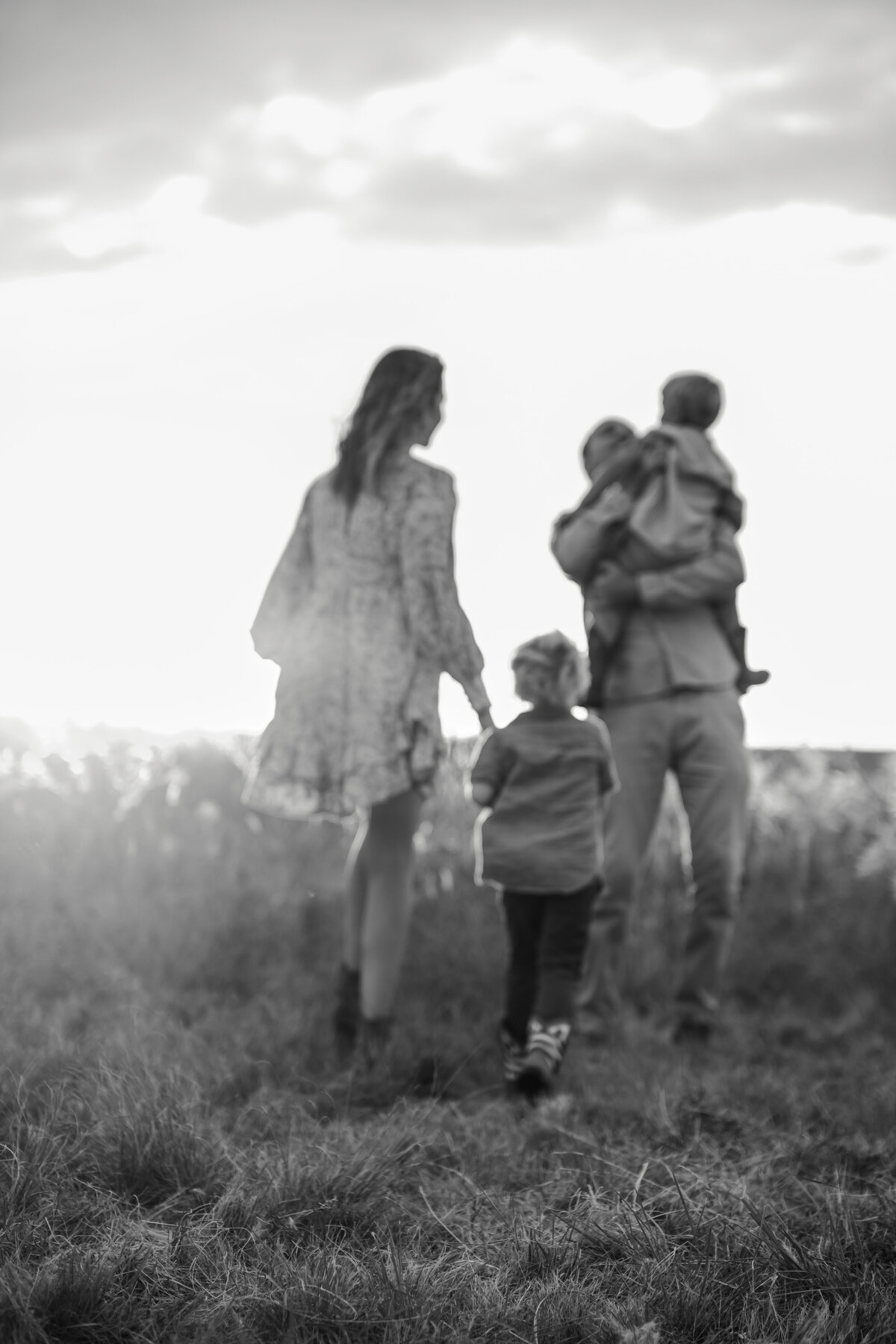 Anderson Family Fall 2024-8045