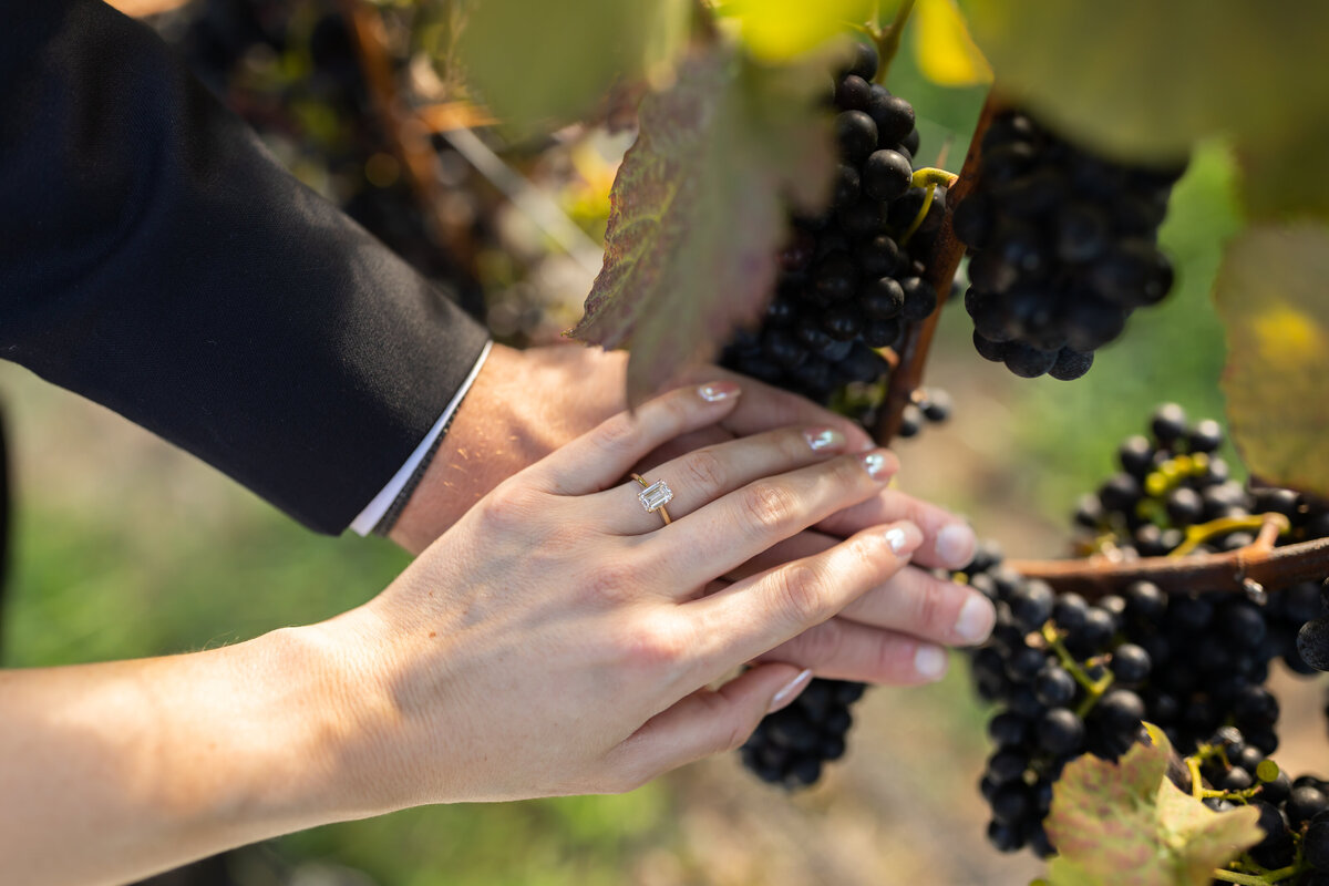 loudoun-studios-wedding-bluemont-blue-valley-vineyards-virginia00009