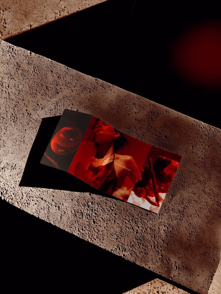 DA4DEBD6-6E68-4626-9781-5F8BA529A825_1_105_c