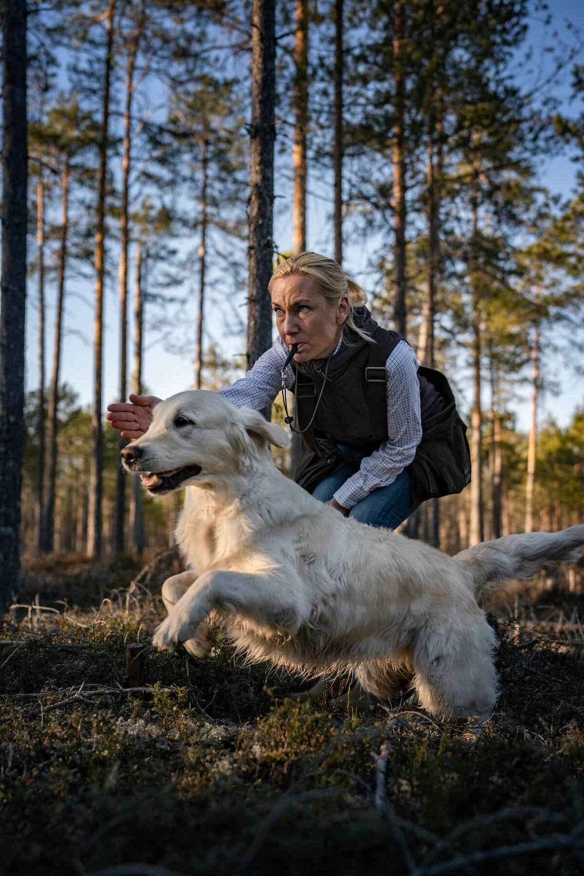 Hundfotografering-apport-jakt