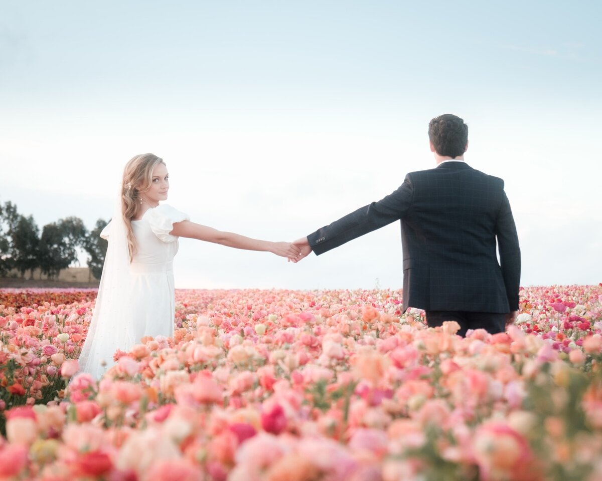 flower fields_155