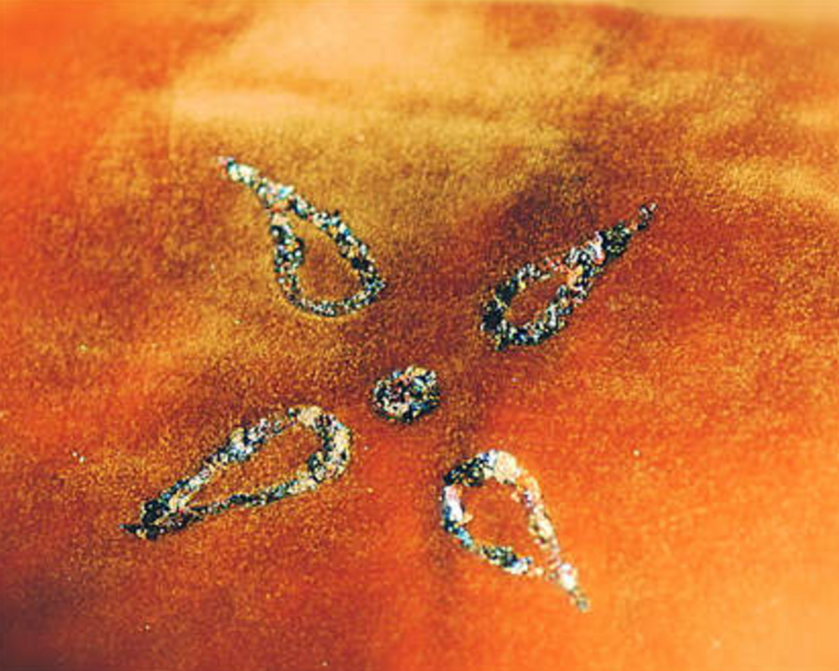 Gold-Silk-Velvet-Sunstar
