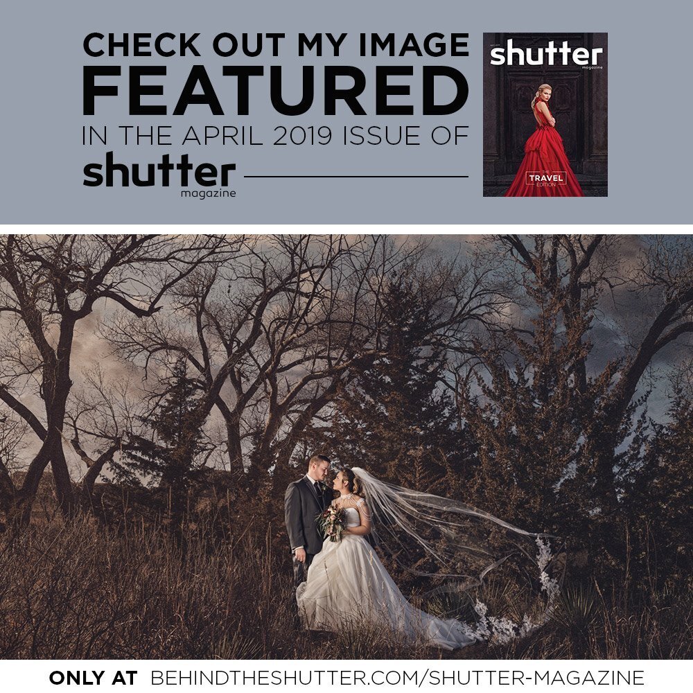 behind-the-shutter-accolades-5