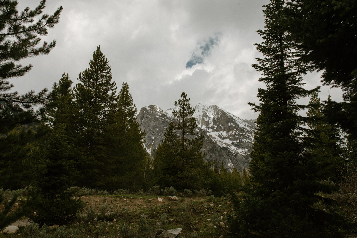 Jenny-Lake-Teton-Elopement-14