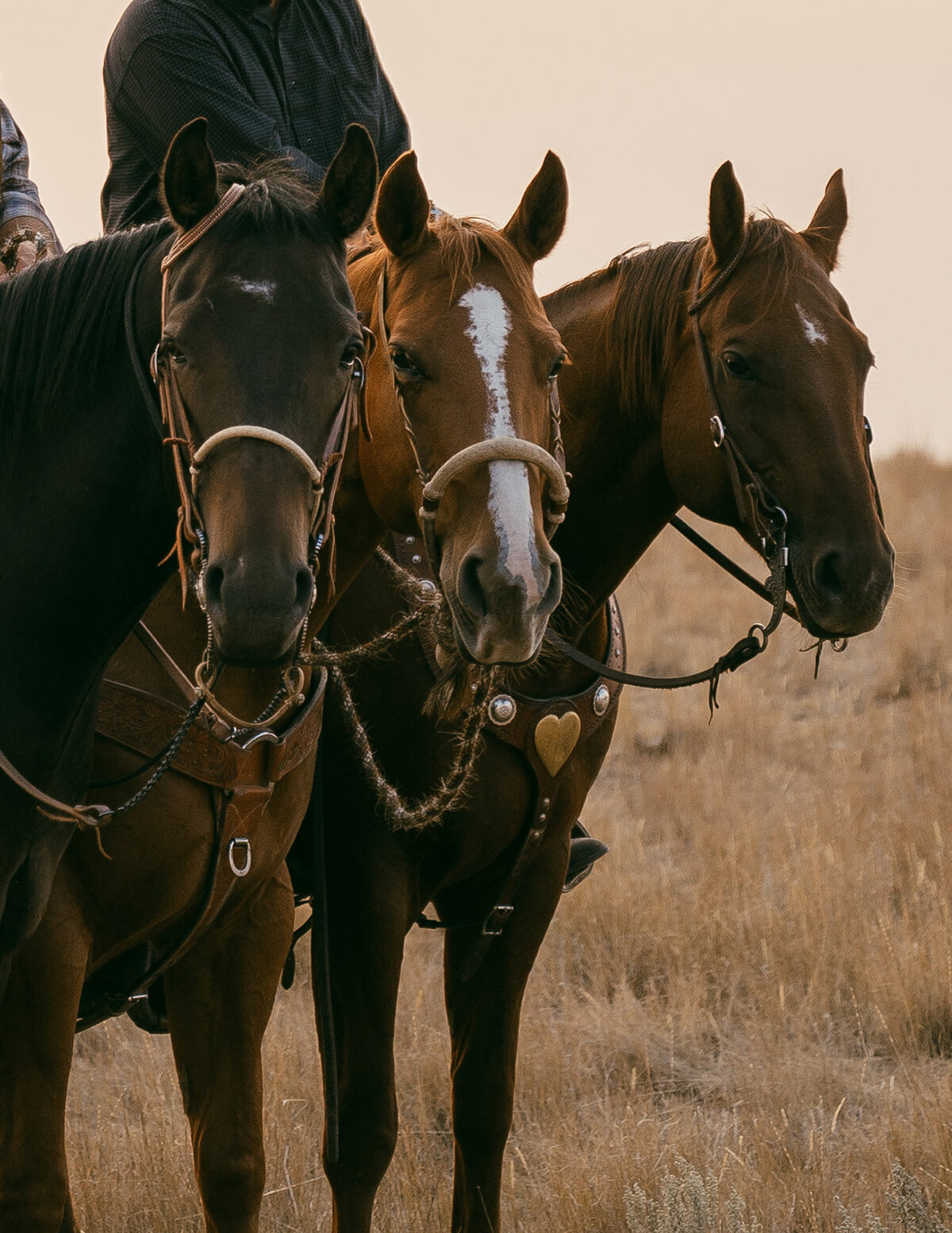 presley-gray-photo-rustic-western-montana-wedding-2522-2