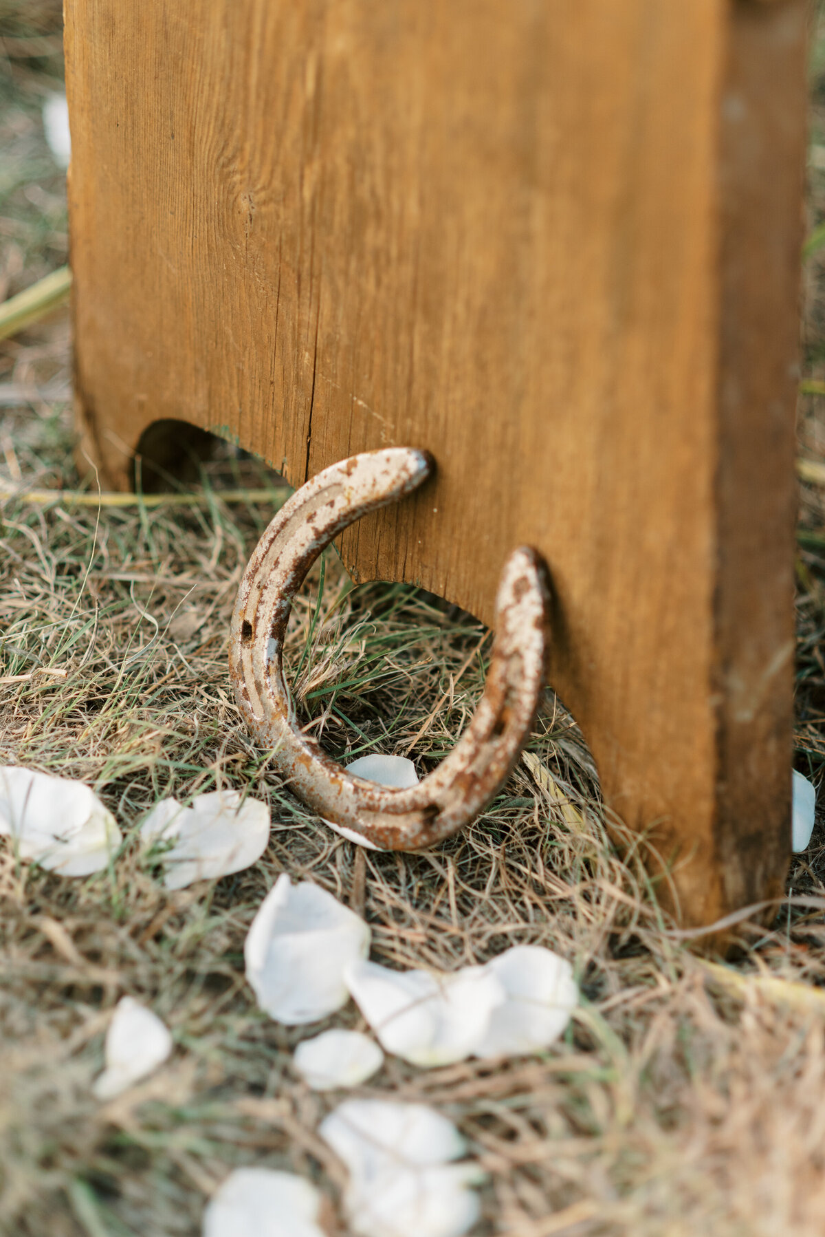 luck ranch-luck-ranch-spicewood-texas-willie-nelson-wedding-tonya-volk-photography-158