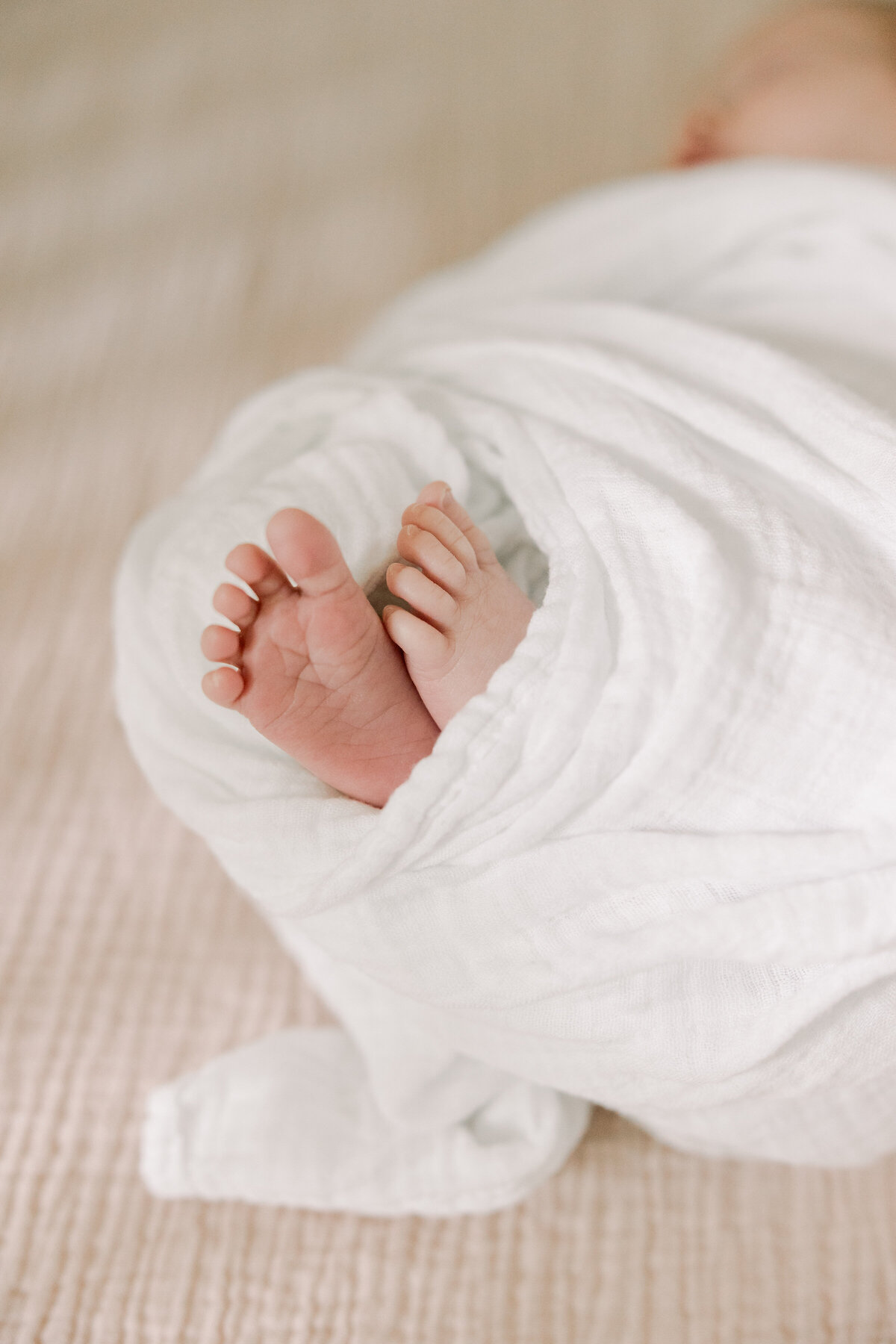 wherrity_newborn_2025_ashleyhessephotography-6