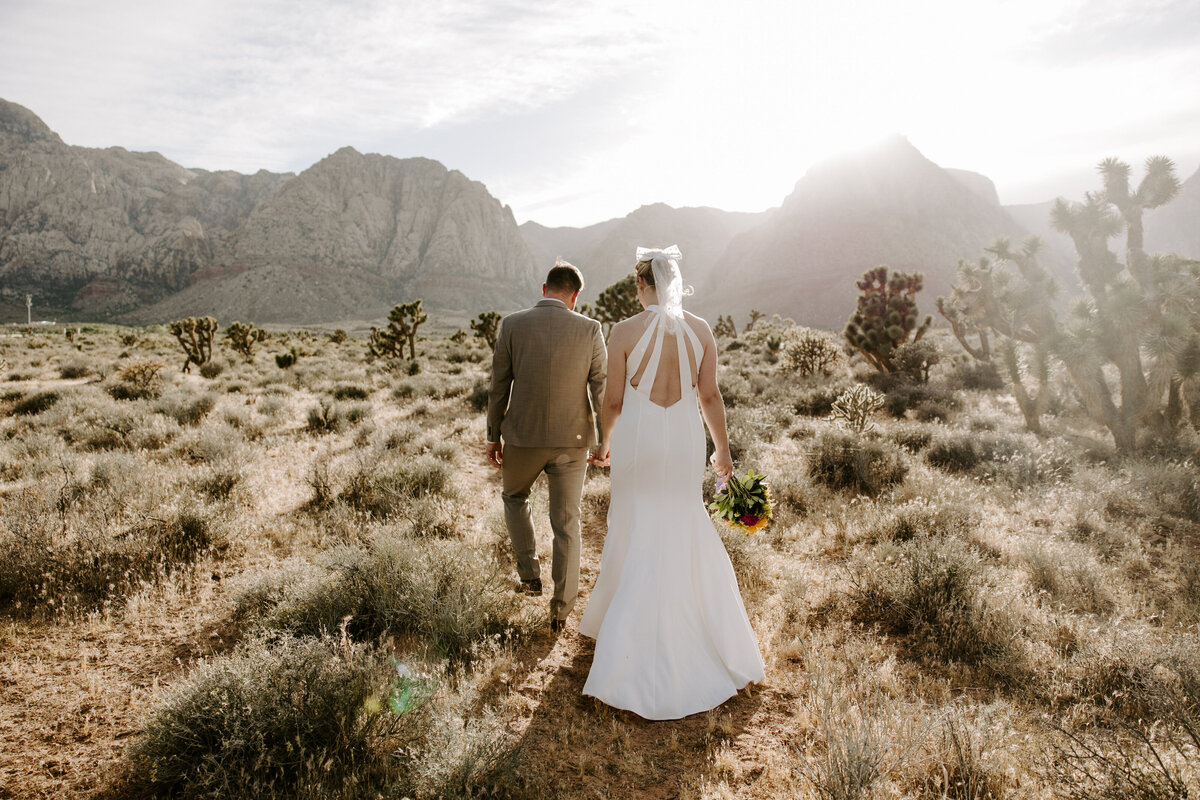 Two people on their elopement day walk away holding hands in the desert in Las Vegas.