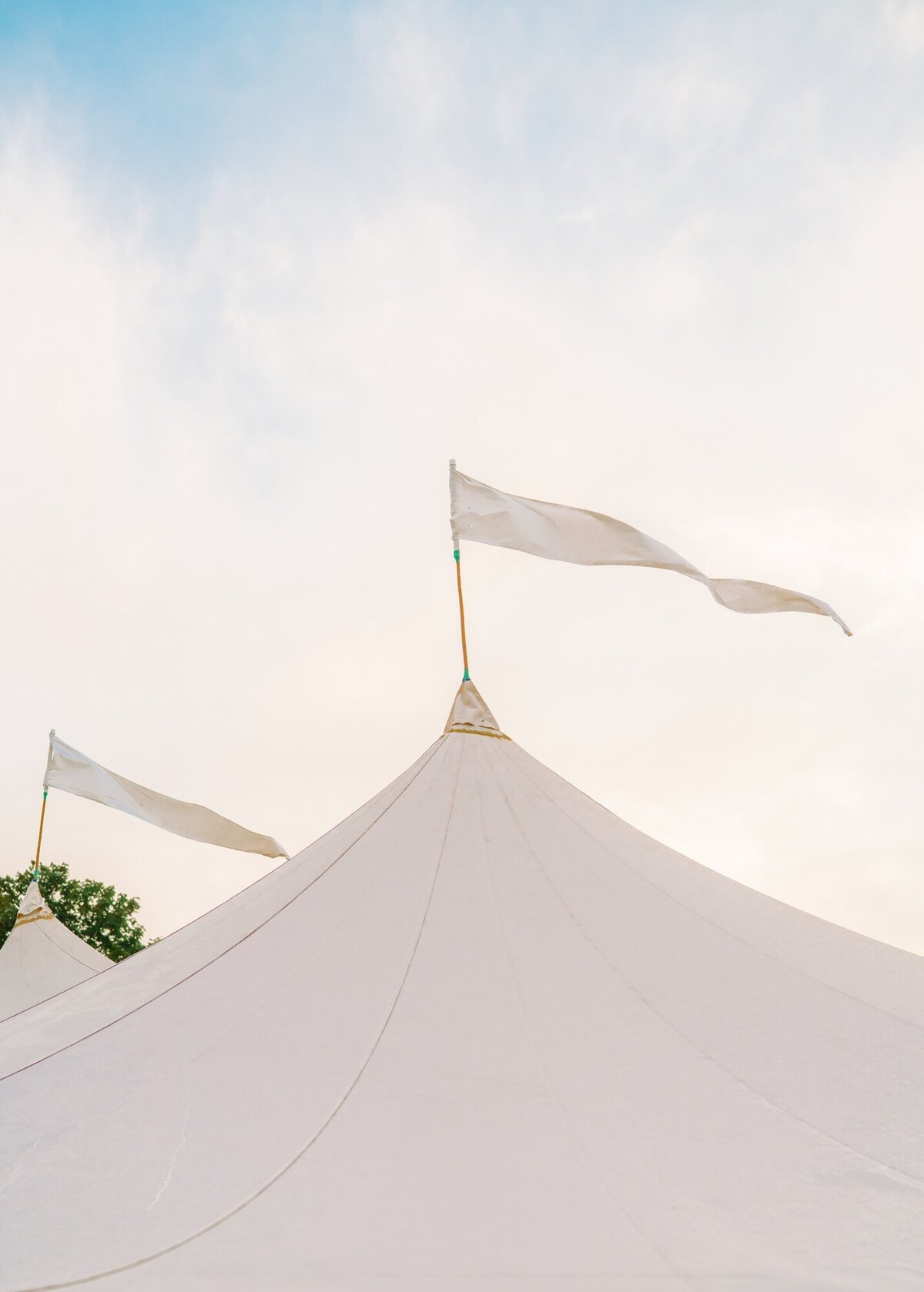 AbbySchuylerWedding_LF_1764