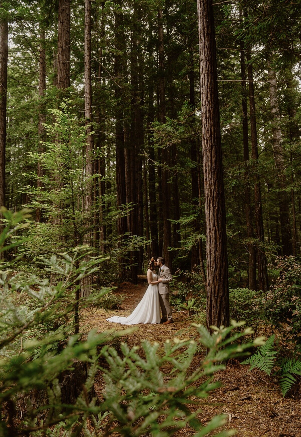 Mendocino Redwoods Elopement Meg Cooper Photo - 6