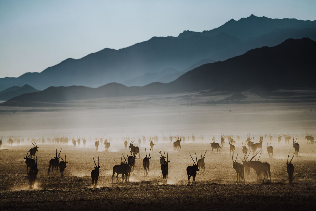 29_namibia_helloemilie