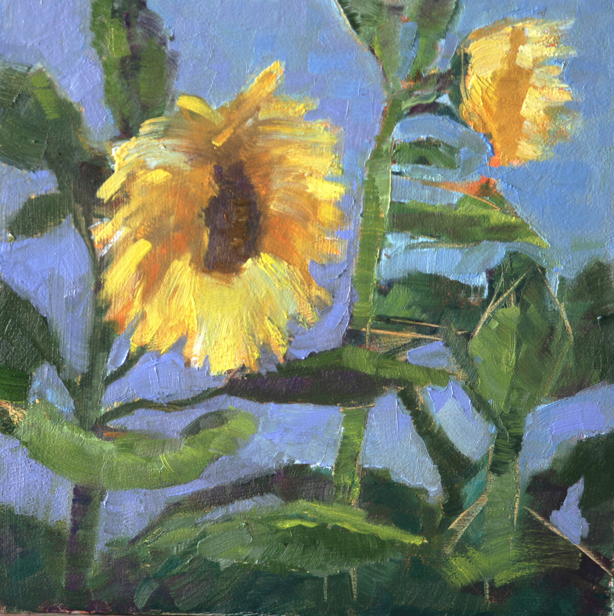 Original_oil_painting_Sunflower