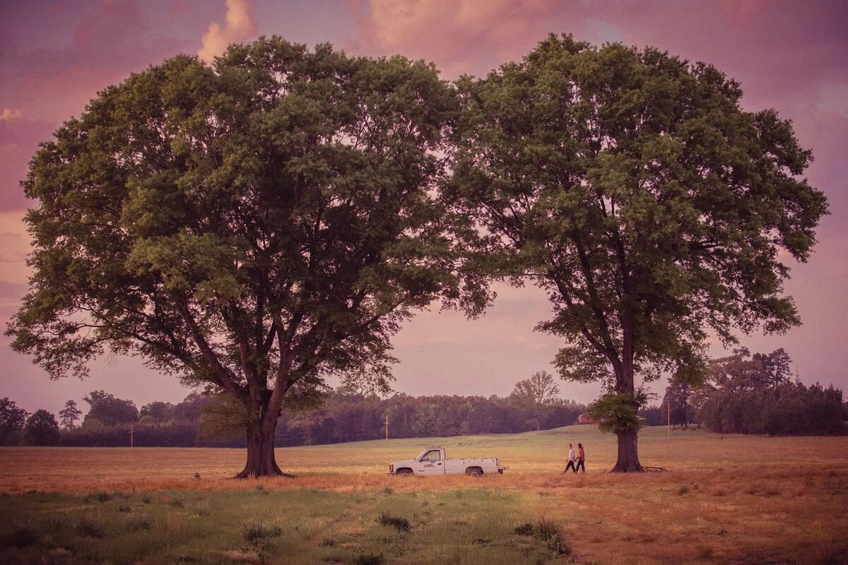 A couple walks hand in hand under a majestic oak tree, with a vintage car in the background and a soft sunset hue in the sky