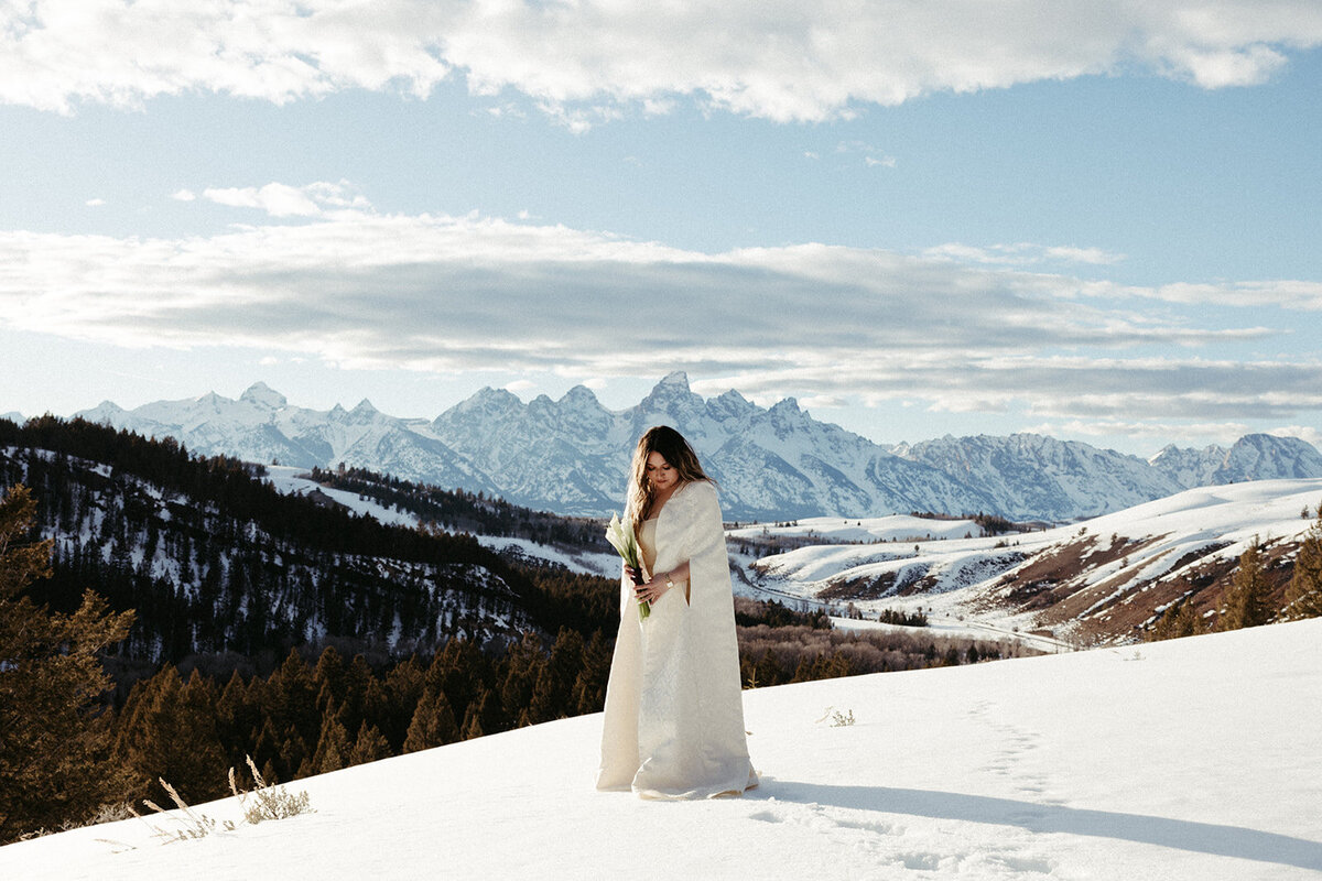 JacksonHole-DallinHassard-1403