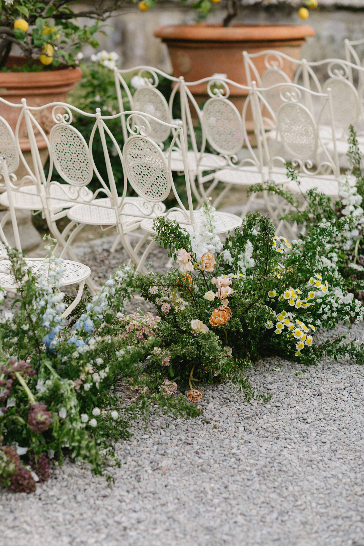 LizSchneiderPhoto-2973