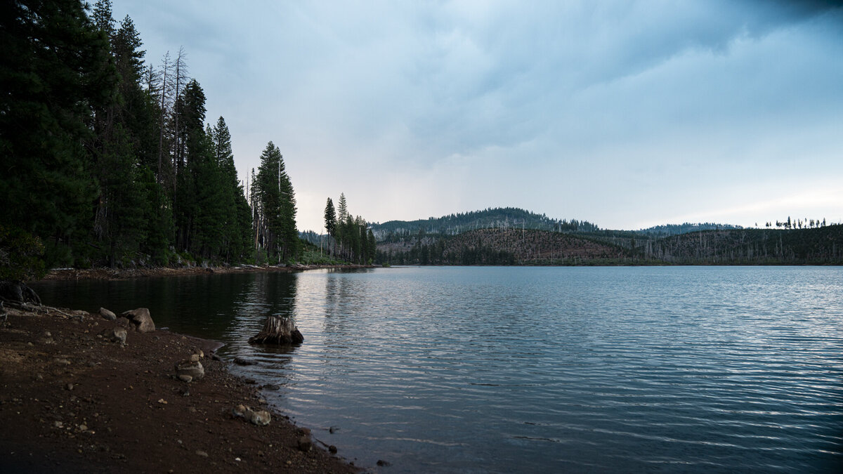 _DSC7597