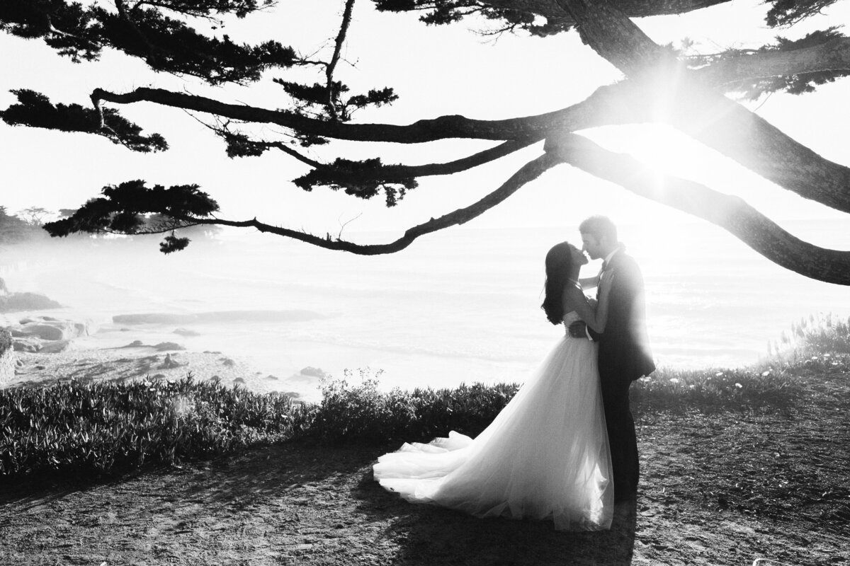 Timeless Wedding Photography in Northern California - Napa - Bir Sur - Lake Tahoe - Carmel Valley - Carlie Statsky Photgraphy -  137