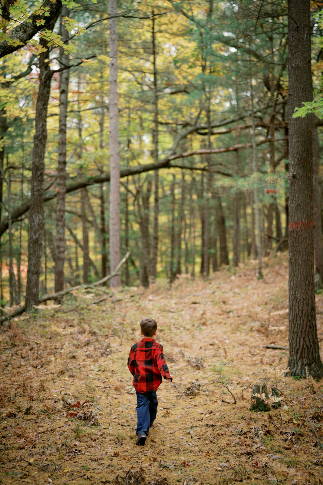 Grand Rapids Family Photographer-392